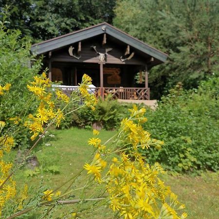 Blockhaus Am Twistesee Mit 3 Schlafzimmern Bad Arolsen Eksteriør billede