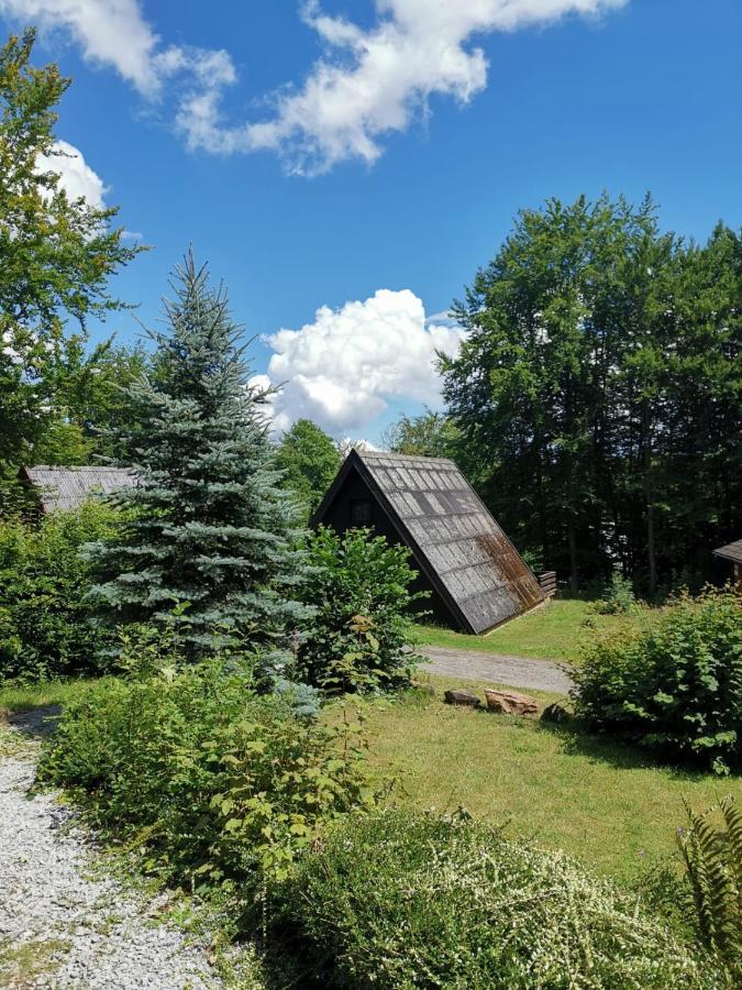 Blockhaus Am Twistesee Mit 3 Schlafzimmern Bad Arolsen Eksteriør billede