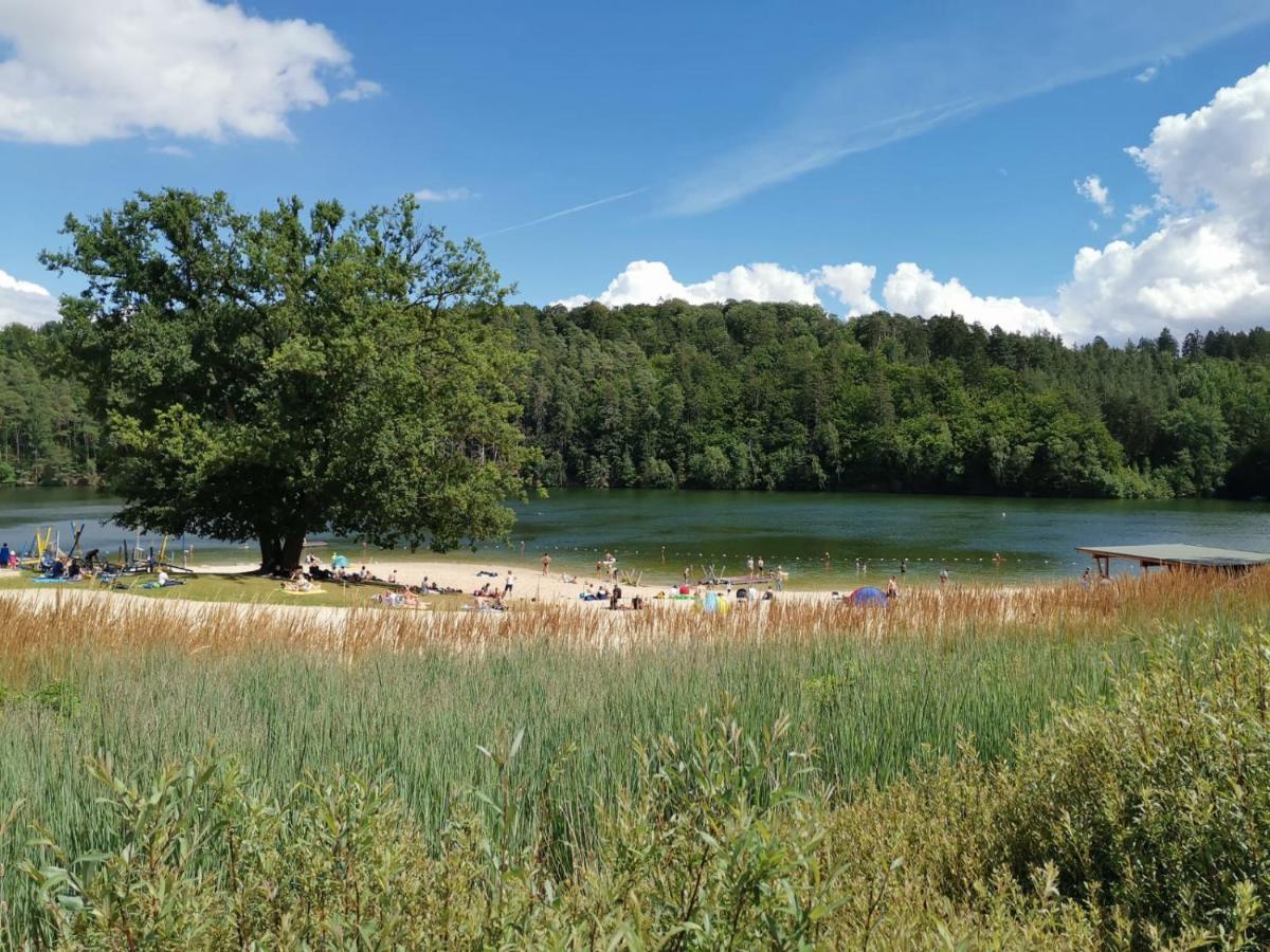 Blockhaus Am Twistesee Mit 3 Schlafzimmern Bad Arolsen Eksteriør billede