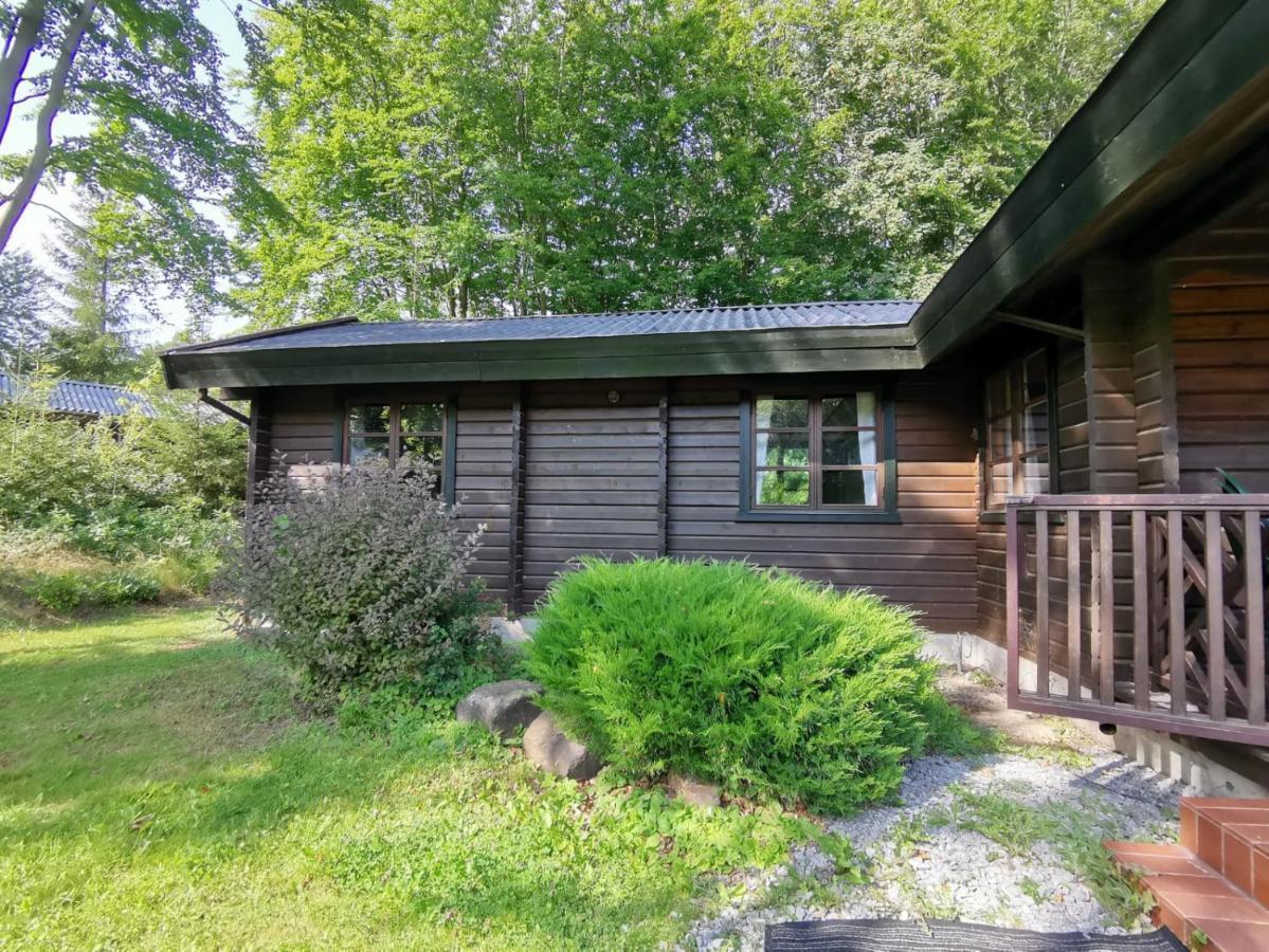 Blockhaus Am Twistesee Mit 3 Schlafzimmern Bad Arolsen Eksteriør billede