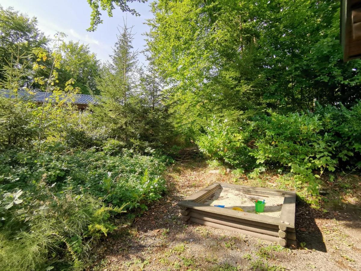 Blockhaus Am Twistesee Mit 3 Schlafzimmern Bad Arolsen Eksteriør billede
